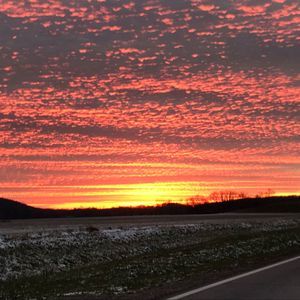 Meet your Posher, Marty